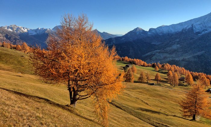 Wanderurlaub im Passeiertal - Erkunden Sie die Natur Südtirols