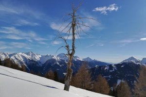 Bergwiesen Stuller Mahder im Winter