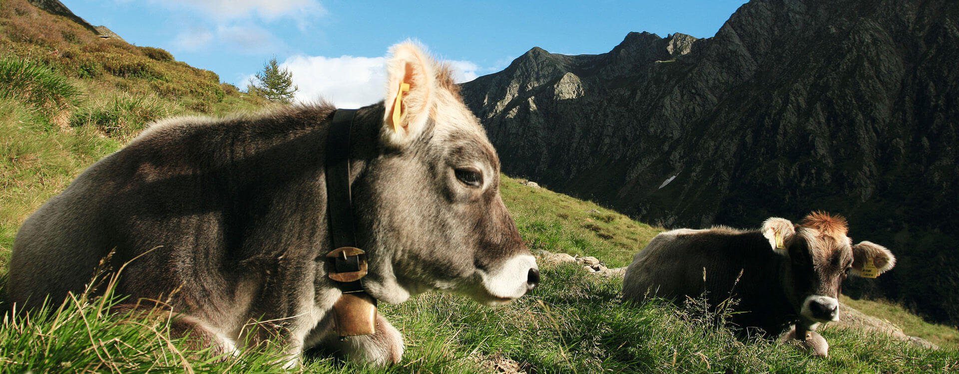 urlaub-auf-dem-bauernhof-passeiertal-6